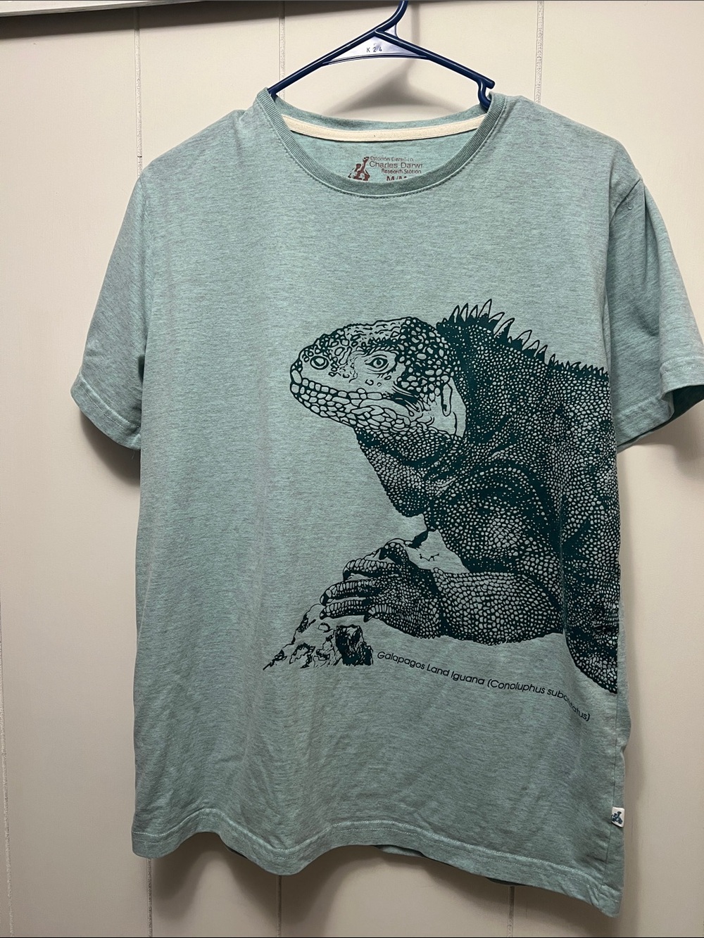 Charles Darwin research station Seafoam Tee with Dark Green Iguana medium